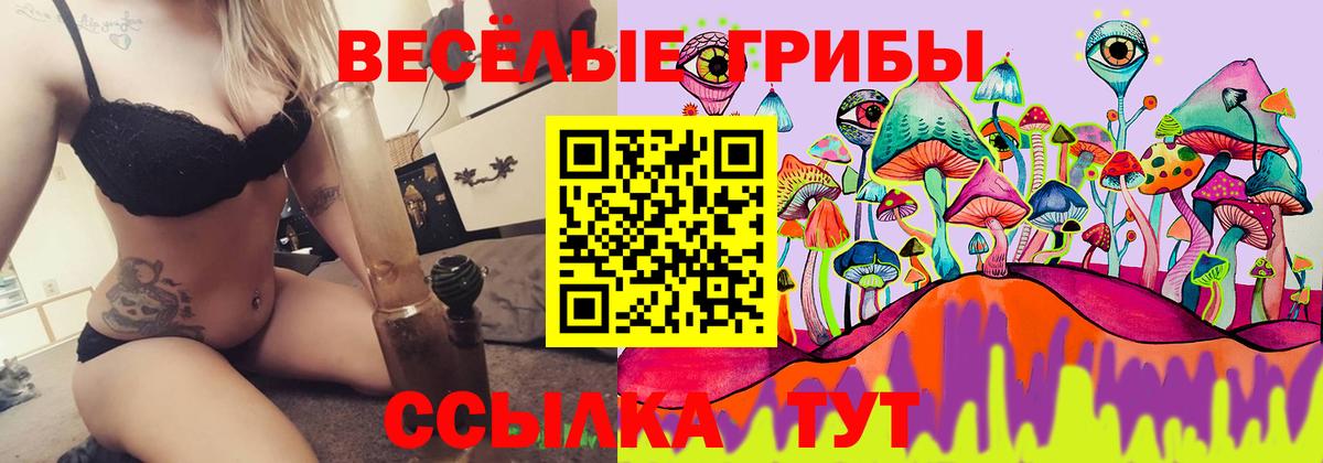 Галлюциногенные грибы Psilocybine cubensis  Вход с VPN  Галлюциногенные грибы Cubensis  где можно купить наркотик  Альметьевск 
